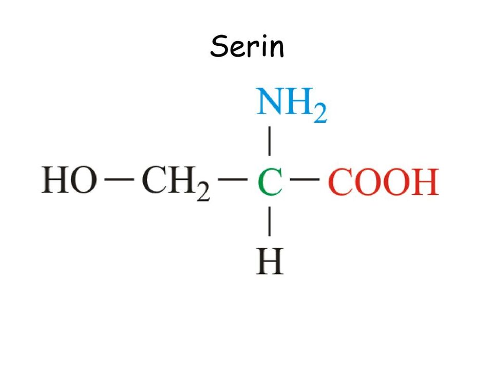 serine in piedi tropper